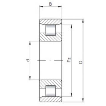 Cylindrical Roller Bearings N10/500 ISO