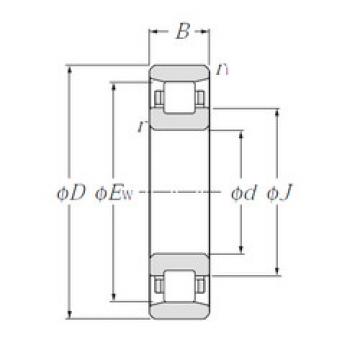 Cylindrical Roller Bearings N1008 CYSD