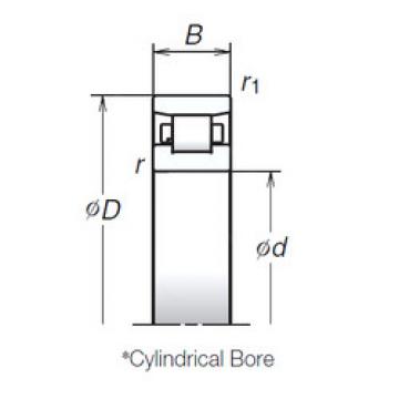 Cylindrical Roller Bearings N1010MR NSK