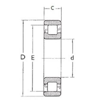 Cylindrical Roller Bearings N1013 FBJ