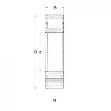 Cylindrical Roller Bearings N206 CRAFT