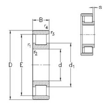 Cylindrical Roller Bearings N219-E-M6 NKE