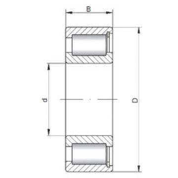 Cylindrical Bearing NCF2916 V ISO