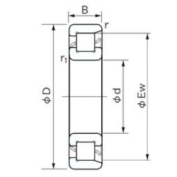 Cylindrical Bearing NF 10/500 NACHI