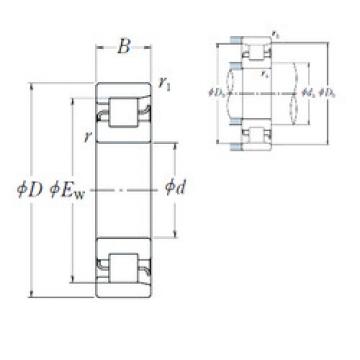 Cylindrical Bearing NF 219 NSK