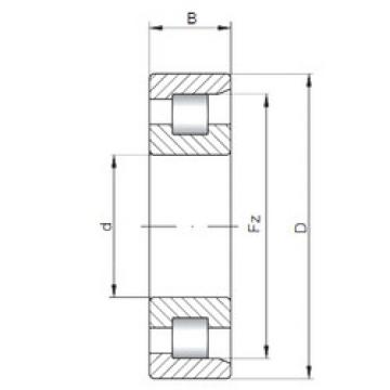 Cylindrical Bearing NF10/560 ISO