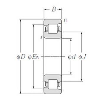 Cylindrical Bearing NF213 NTN