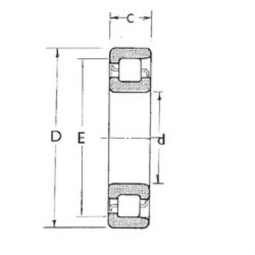 Cylindrical Bearing NF205 FBJ