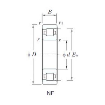 Cylindrical Bearing NF319 KOYO