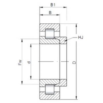 Cylindrical Bearing NH10/500 CX