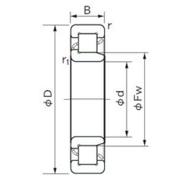 Cylindrical Bearing NJ 2238 E NACHI