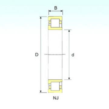 Cylindrical Bearing NJ 204 ISB