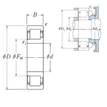 Cylindrical Bearing NJ 204 ET NSK