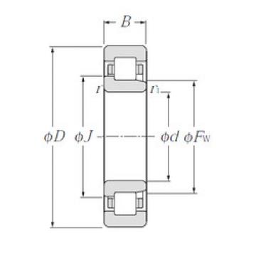 Cylindrical Bearing NJ1006 NTN