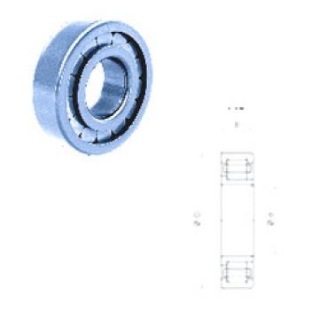 Cylindrical Bearing NJ210FM Fersa