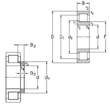 Cylindrical Bearing NJ203-E-TVP3+HJ203-E NKE