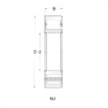 Cylindrical Bearing NJ205 CRAFT