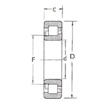 Cylindrical Bearing NJ204 FBJ