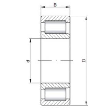 Cylindrical Bearing NJF2307 V ISO