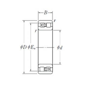 Cylindrical Bearing NN 3011 NSK