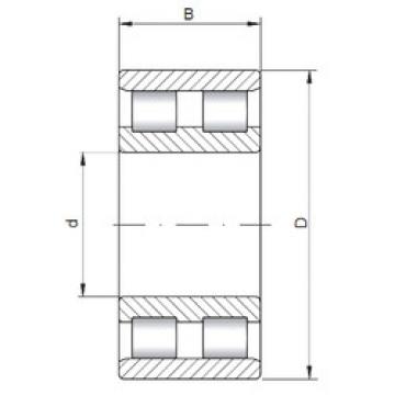 Cylindrical Bearing NN3010 CX