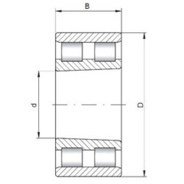 Cylindrical Bearing NN3007 K CX