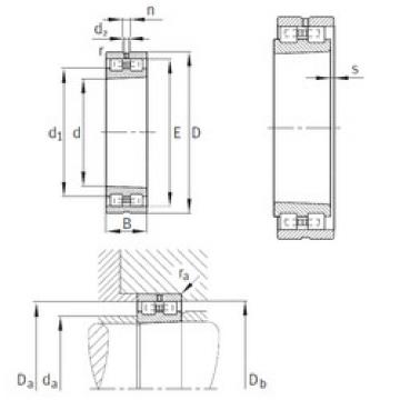 Cylindrical Bearing NN3011-AS-K-M-SP INA