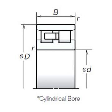 Cylindrical Bearing NN3005MB NSK