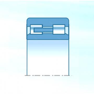 Cylindrical Roller Bearings Distributior NNU4980KD1C1NAP5 NTN