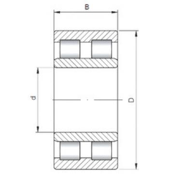 Cylindrical Roller Bearings Distributior NNU4922 ISO