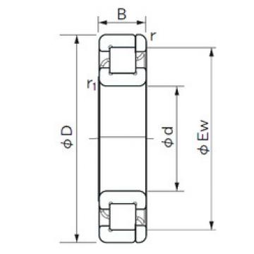 Cylindrical Roller Bearings Distributior NP 10/500 NACHI