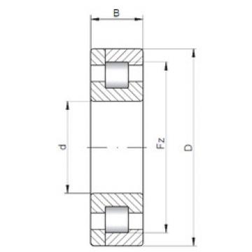 Cylindrical Roller Bearings Distributior NP10/500 CX