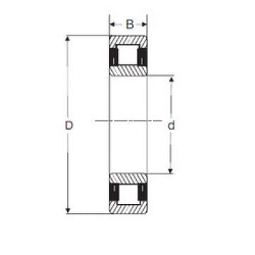 Cylindrical Roller Bearings Distributior NU 206 SIGMA