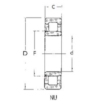 Cylindrical Roller Bearings Distributior NU1006 FBJ