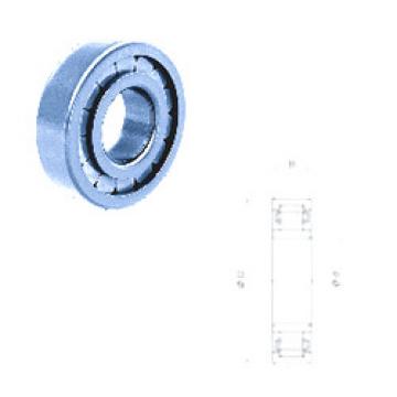 Cylindrical Roller Bearings Distributior NU309FMN Fersa