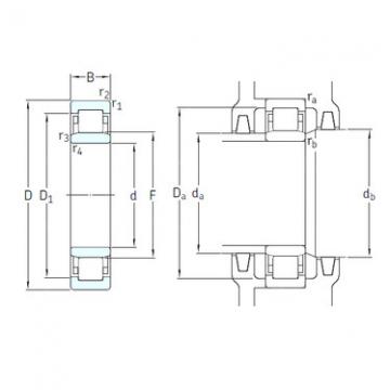 Cylindrical Roller Bearings Distributior NU1009ECP/HC5C3 SKF