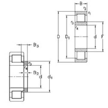 Cylindrical Roller Bearings Distributior NU1056-M6+HJ1056 NKE