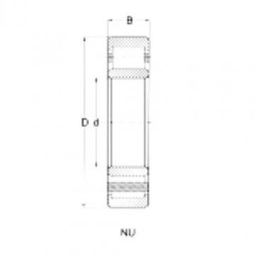 Cylindrical Roller Bearings Distributior NU206 CRAFT