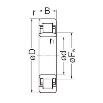 Cylindrical Roller Bearings Distributior NU205EG NACHI