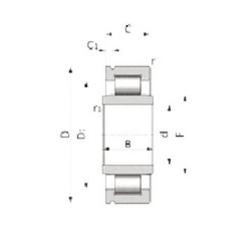 Cylindrical Roller Bearings Distributior NU910624S02 SNR