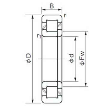 Cylindrical Roller Bearings Distributior NUP 10/500 NACHI