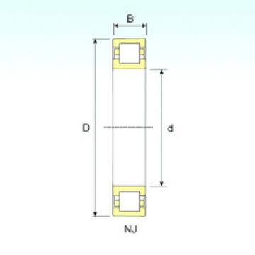 Cylindrical Roller Bearings Distributior NUP 203 ISB