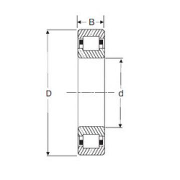 Cylindrical Roller Bearings Distributior NUP 205 SIGMA