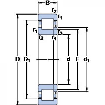 Cylindrical Roller Bearings Distributior NUP 2224 ECML SKF