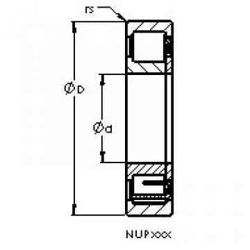 cylindrical bearing nomenclature NUP305 E AST