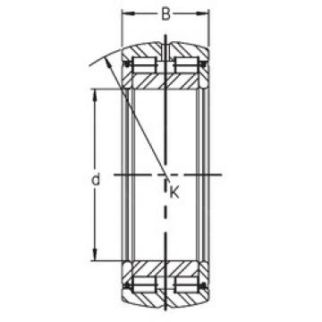 cylindrical bearing nomenclature SL05 022 E INA