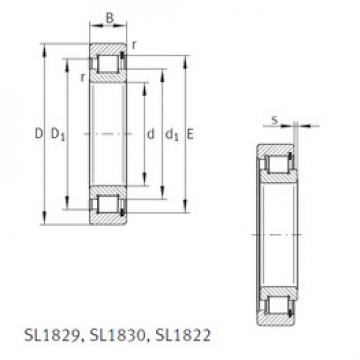 cylindrical bearing nomenclature SL1818/500-E INA