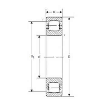 Spherical Roller Bearings 20311 K SIGMA