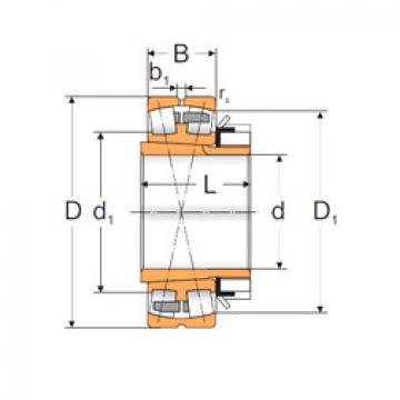 Spherical Roller Bearings 22213 ACKMBW33+H313 MPZ