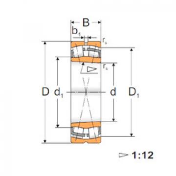 Spherical Roller Bearings 22220 KW33 MPZ